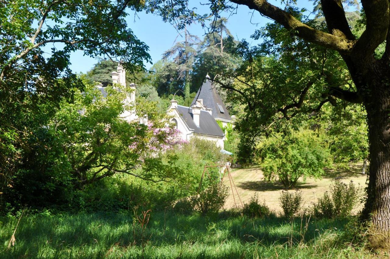 Chateau Du Roc Saint-Thomas-de-Conac Exterior photo